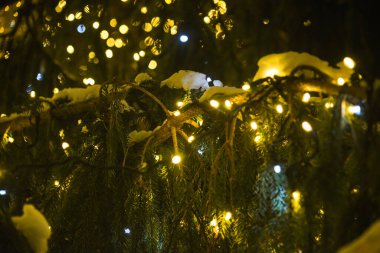 Karla kaplı yeşil ladin dallarına yakın çekim. Şenlik ışıkları ve süslemeleri var..