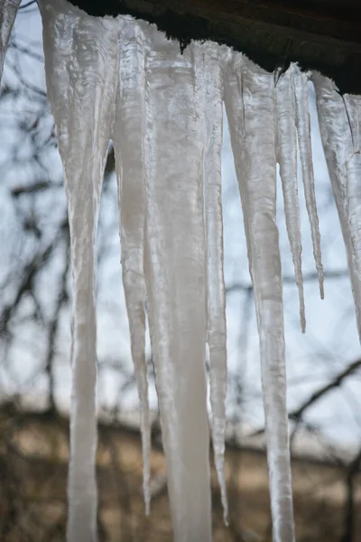 Çatıdan sarkan buz saçakları
