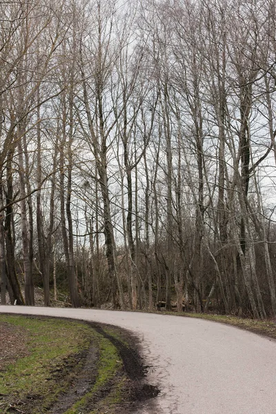 Асфальтированная Обмоточная Пешеходная Дорожка Лесу Отпечатками Автомобильных Шин Грязи Весной — стоковое фото