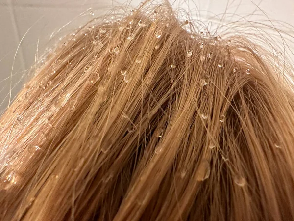 Raindrops Woman Hair Close — Stock Photo, Image