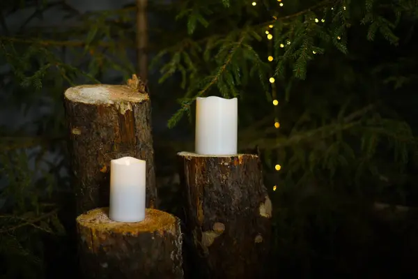White LED candles that stand on fir tree stumps under fir trees with green needles in which Christmas lights are installed that create a bokeh effect.