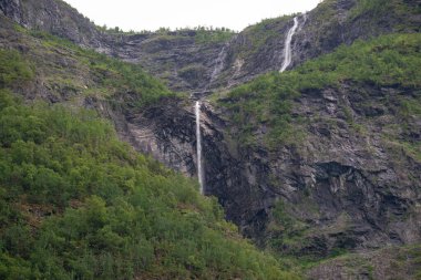 Norveç fiyort dağ manzarası şelale ve dağın eteklerinde yetişen yeşil ağaçlarla.