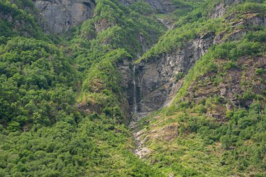 Norveç fiyort dağ manzarası bir şelale ile dağda bir mağara yıkamış ve dağın eteğinde büyüyen yeşil ağaçlar