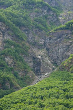 Yeşil ağaçların yetiştiği taşlı Norveç fiyort dağlarının doğa manzarası.