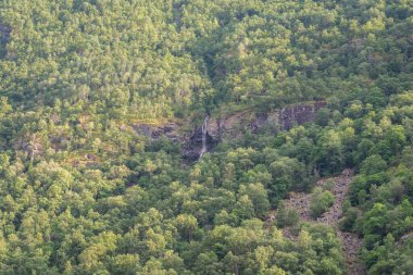 Norveç fiyort dağ manzarası. Kayalar ve yeşil kozalaklı. Dağlarda bir şelale akıyor..