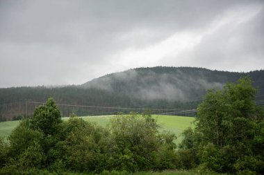 Norveç 'in güzel doğa manzarası. Dağlar sis ve yeşil kozalaklı ağaçlarla kaplı. Bulutlu bir günde..