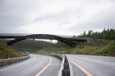 Norveç 'te bir dağ kıvrımında otoyol hayvanlar için bir köprü inşa edilmiştir..