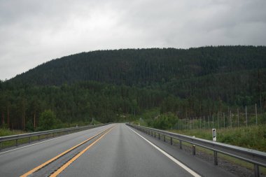 Norveç dağlarında otoyol. Tepelerde yeşil kozalaklı ağaçlar.