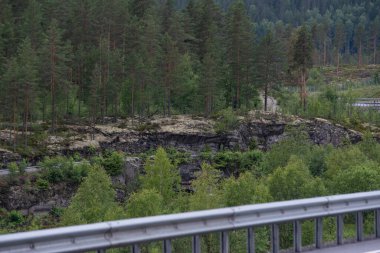 Demiryolunun yanındaki kayalıklarda yetişen yeşil ağaçların manzarası..