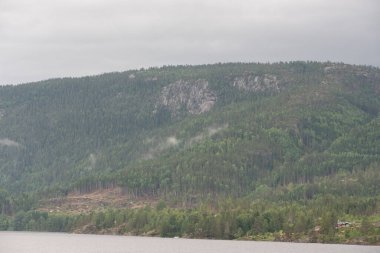 Yeşil ağaçları ve gölün kıyısında kırmızı ahşap bir evi olan Norveç dağ manzarası.