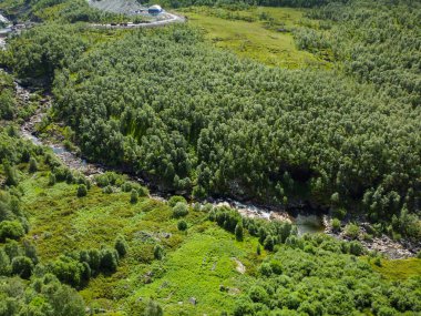 Drone fotoğrafı. Güneşli bir yaz gününde yeşil ormandaki Norveç dağ nehrinin yukarıdan görünüşü.