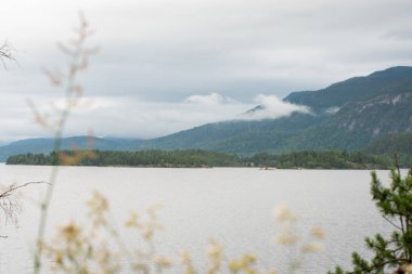 Norveç dağlarının yeşil kozalaklı ağaçları ve üzerlerinde gölün kıyısında beyaz kümülüs bulutları olan doğal manzarası..