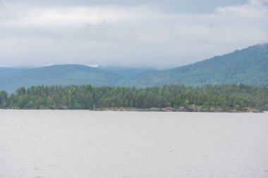 Üzerinde yeşil kozalaklı ağaçlar ve beyaz kümülüs bulutları olan Norveç dağlarının doğa manzarası..