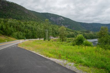 Norveç asfalt dağı yolu kıyısında yeşil çimenler olan bir nehrin yanında..