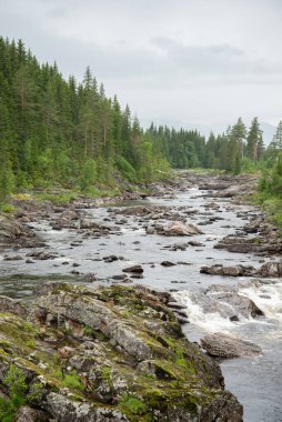 Küçük Şelale Bölümünde Norveç Nehri
