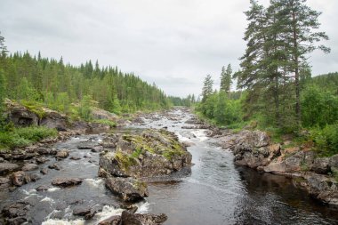 Küçük Şelale Bölümünde Norveç Nehri