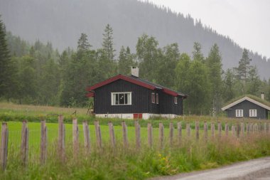 Ahşap İskandinav tarzı dağ evleri, kırmızı ve otla kaplı çatılar..