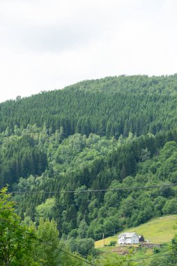 Yeşil kozalaklı ağaçlı güzel Norveç dağ manzarası. Dağın eteğinde, beyaz ahşap bir ev..