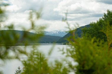 Nehir kıyısında Norveç dağları olan güzel bir manzara. Yeşil ağaçların arasından bak.