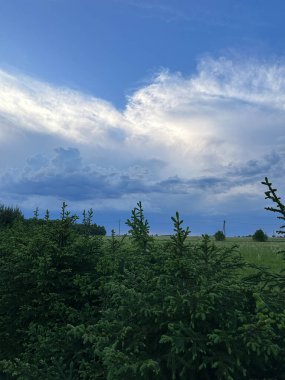 Kara bulutlu yağmurdan önce bulutlu bir gökyüzü ve ön planda yeşil bir köknar ağacının yetiştiği kırsal bir manzara..