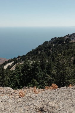 Yunanistan 'daki Kanyon dağ yolu güneşli bir yaz gününde yeşil ağaçların arasından geçiyor.