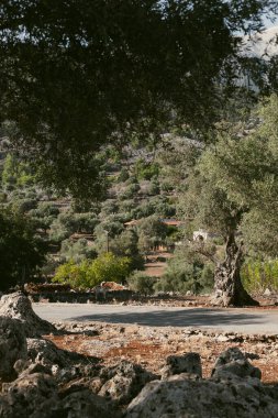 Yunanistan 'ın Girit kentindeki güzel doğa manzarası.