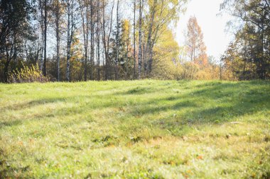 Sonbaharda tarlalar ve çayırlar ve arka planda nadir ağaçlar, sonbaharın sonlarında tarımda yer alan boş kırsal alanlar