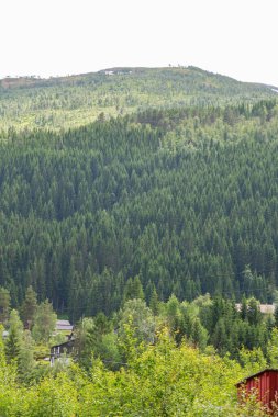 Beautiful view of the Norwegian mountain landscape. Mountains with green coniferous trees, residential houses in the foreground with power lines running across them. clipart