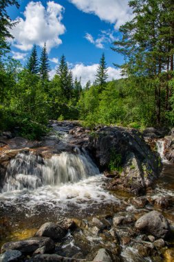 Norwegian mountain river with fast flowing clear and sparkling water and a waterfall that forms white foam on rocks surrounded by green coniferous trees. Sunny summer day. clipart