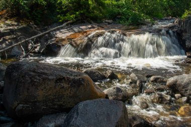 Norveç dağ nehri, hızlı akan temiz ve köpüklü su ve yeşil kozalaklı ağaçlarla çevrili kayalarda beyaz köpük oluşturan bir şelale. Güneşli yaz günü.