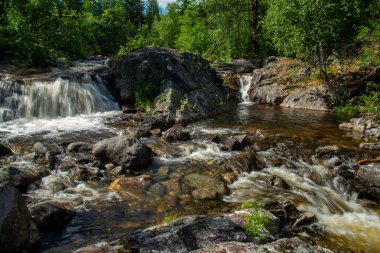 Norveç dağ nehri, hızlı akan temiz ve köpüklü su ve yeşil kozalaklı ağaçlarla çevrili kayalarda beyaz köpük oluşturan bir şelale. Güneşli yaz günü.