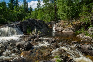 Norveç dağ nehri, hızlı akan temiz ve köpüklü su ve yeşil kozalaklı ağaçlarla çevrili kayalarda beyaz köpük oluşturan bir şelale. Güneşli yaz günü.