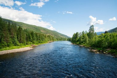 Norveç balıkçı nehri Hallingdalselva 'nın arka planında mavi gökyüzüne karşı yeşil orman var