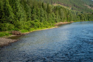 Norveç balıkçı nehri Hallingdalselva 'nın arka planında mavi gökyüzüne karşı yeşil orman var