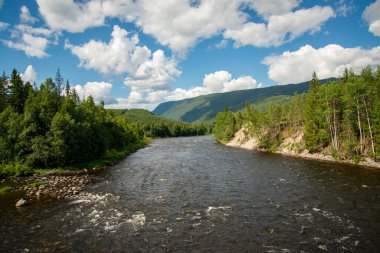 Norveç balıkçı nehri Hallingdalselva 'nın arka planında mavi gökyüzüne karşı yeşil orman var