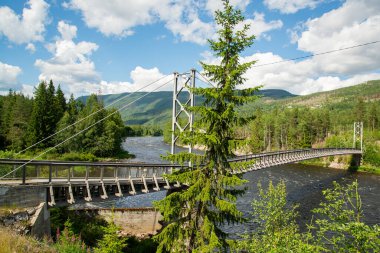 Norveç balıkçılık nehri Hallingdalselva üzerinde tahta yaya halat köprüsü. Dağlarda yeşil orman ve mavi bir gökyüzü.