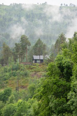 Scandinavian Norwegian brown wooden house in the mountains among green trees on a foggy day. clipart