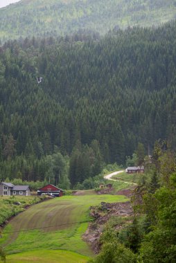 Norveç 'in İskandinav kırsal kesiminde toprak bir yol ve dağın eteğinde kırmızı ahşap bir ahır var. Dağlarda yeşil ağaçlar, dağlarda beyaz sisler yetişir..