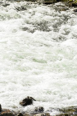 Norveç fiyortlarında, kayalara çarptığında beyaz köpük oluşturan bir dağ nehrinin suyuna yakın çekim..