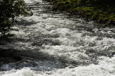 Norveç fiyortlarında, kayalara çarptığında beyaz köpük oluşturan bir dağ nehrinin suyuna yakın çekim..
