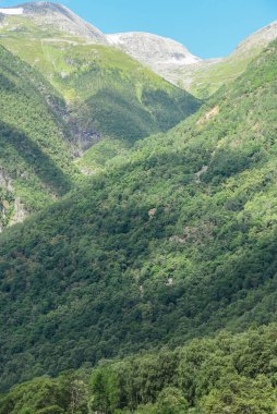 Yeşil ağaçların gölgelediği Norveç dağ manzarası. Beyaz kar fiyortların tepesinde güneşli bir yaz gününün mavi gökyüzünün altında.