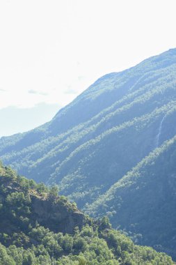 Norveç 'teki dağ manzarası yeşil ağaçların arasından akan bir dağ nehrinin şelalelerini gösteriyor.