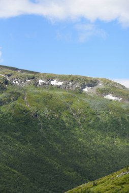 Mavi gökyüzünün altında beyaz kar yığınlarıyla kaplı yeşil dağları olan Norveç dağ manzarası.