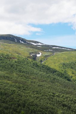 Mavi gökyüzünün altında beyaz kar yığınlarıyla kaplı yeşil dağları olan Norveç dağ manzarası.