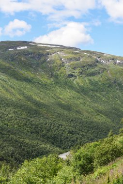 Norveç. Serpentine yolu kanyonun yeşil yamaçlarında resim gibi kıvrılır. Trol stijli Norge.