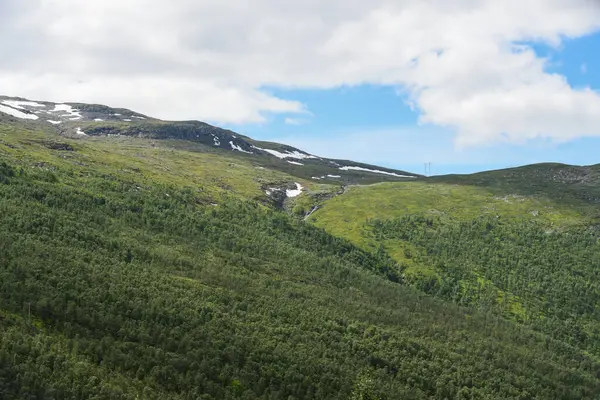 Mavi gökyüzünün altında beyaz kar yığınlarıyla kaplı yeşil dağları olan Norveç dağ manzarası.