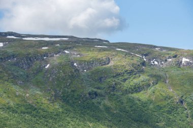 Norveç 'te, güneşli bir yaz gününde mavi gökyüzünün altında yeşil ağaçların büyüdüğü bir dağ manzarası..