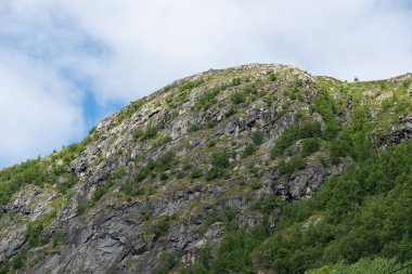 Mavi gökyüzüne karşı dağ zirvesi olan güzel Norveç dağ manzarası. Yeşil ağaçlı dağ.