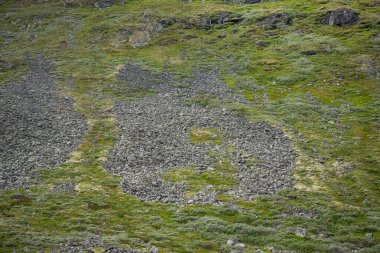 pile of rocks at the foot of a mountain with green grass. Formed from snow avalanches during the winter. clipart