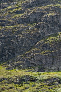 Güneşli bir yaz gününde mavi gökyüzünün altında Norveç kırsalında dev bir kaya..